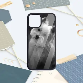 Westie Terier Pes, Psiček živali Primeru Telefon PC Za iPhone 11 12 pro XS MAX 8 7 6 6S Plus X 5S SE 2020 XR