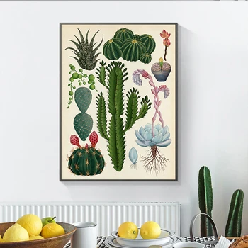 Vintage Botanični Kaktus Plakat Platno, Slike, Tiskanje Cvetočih Kaktusov Botanični Wall Art Slike Cuadros za Dom Dekor