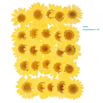 Pritisnete Cvet Mešanih Suhih Rož DIY Umetnosti Cvetlični Decors Zbirka Darilo Obrti DIY DFDS889