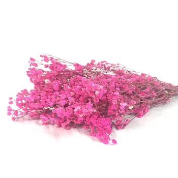 70 g Naravnih Mladičev, ki Diha Rože Sveže Pravi Dotik Vedno Diha Za DIY Večno Pink Soba Dekor Naturales Plantas