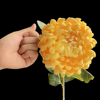 7P Ponaredek Eno Steblo Ananas Chrysanthemum 29