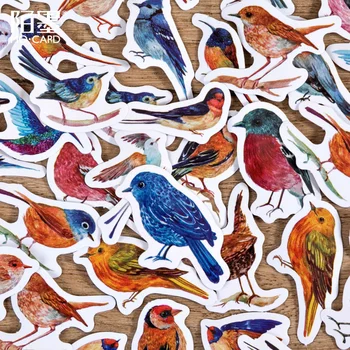 56pcs/box Kawaii Majhne Songbird Redbreast Ptica Stenske Nalepke za Otroke Sobe Fantje, Dekleta, Otroci, Spalnica Dekoracijo Doma
