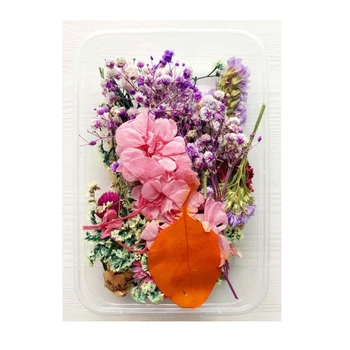 Posušeno Cvetje Paket Mešani Večno Cvetje in Listje za DIY Aromaterapija Sveče voščilnico Epoksi Obrti Dekor MDJ998