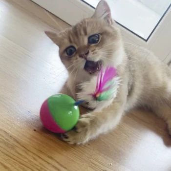 Zabavno Mešalniku Hišni Ljubljenčki Slow Food Zabava Igrače Pritegnili Pozornost Mačka Nastavljiv Prigrizek Usta Igrače Za Hišne Živali