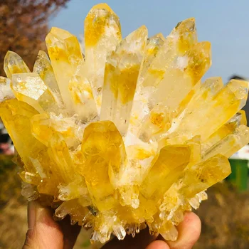 Redki nova rumena fantom quartz crystal grozdov vzorec