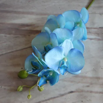 Umetno Cvetje Modra Phalaenopsis Družino Tabela Umetno Cvetje Dnevna Soba Hotel Dekoracijo Umetne Rastline