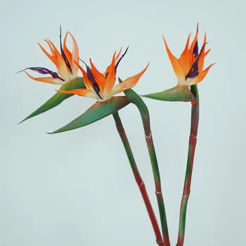 Ptica Of Paradise Občutek Mehke Lepilo Simulacije Cvetlični Ena Podružnica Doma Dekoracijo Mehko Okrasni Cvetlični Aranžma Materiala