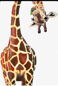 10x8 žirafa Transparentne Silikonske Gume Žig in kovin die Stanja Oklepajo Scrapbooking DIY Srčkan Vzorec Foto Album Žig
