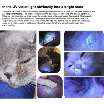 UV Svetilka Hišne živali, Glive Odkrivanje Mačka Moss Tinea Svetlo Kožo Ultravijolično Svetlobo Nepremočljiva Lesa Svetilko 365 UV Črno Ogledalo
