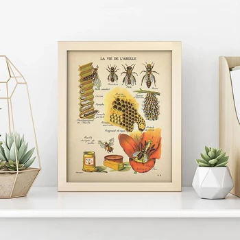 Starinsko Čebele Fotografij Naravne Plakat Žuželke Letnik Francoščina Honey Bee Wall Art Platno Slikarstvo Sepia Odtenkih Čebel Diagram Stenski Dekor