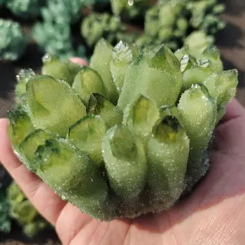 1pcs Naravno zeleno duha quartz crystal grozdov zdravilnimi kristali raw gemstone primerka za dom in pisarno dekoracijo fengshui