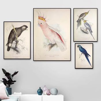 Vintage Akvarel Ptica Papiga Platno Slikarstvo Retro Plakatov In Fotografij Steno Dnevne Sobe Umetniške Slike Doma Dekoracijo Brez Okvirja