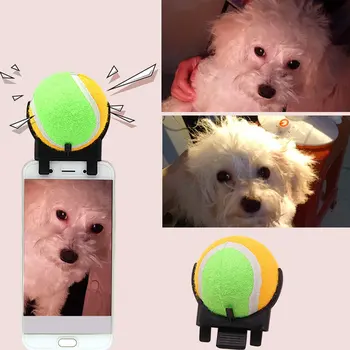 Prenosni Pet Selfie Držijo Žogo Ljubljenčka Psa Tenis Žogo Prilogo Pes, Mačka Posnamete Fotografije, Usposabljanje Igrače Za Hišne Potrebščine