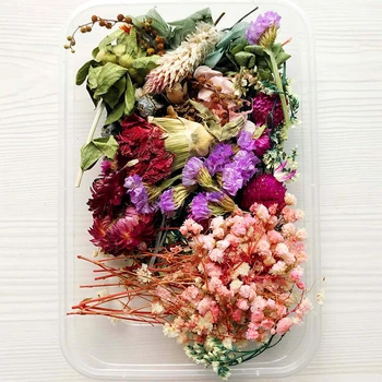 Posušeno Cvetje Paket Mešani Večno Cvetje in Listje za DIY Aromaterapija Sveče voščilnico Epoksi Obrti Dekor MDJ998