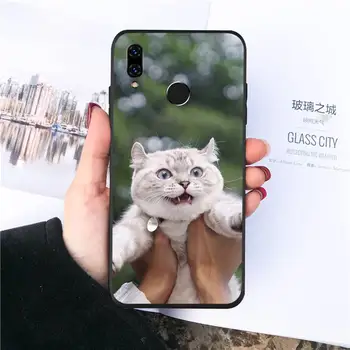 Luštna mačka Primeru Telefon Za Huawei Y5 Y6 II Y7 Y9 PRIME 2018 2019 NOVA3E P20 PRO P10 Čast 10
