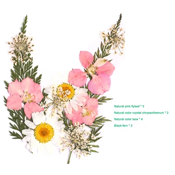Pritisnete Cvet Mešanih Suhih Rož DIY Umetnosti Cvetlični Decors Zbirka Darilo Obrti DIY DFDS889
