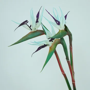 Ptica Of Paradise Občutek Mehke Lepilo Simulacije Cvetlični Ena Podružnica Doma Dekoracijo Mehko Okrasni Cvetlični Aranžma Materiala