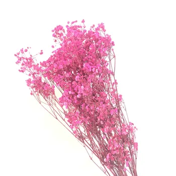70 g Naravnih Mladičev, ki Diha Rože Sveže Pravi Dotik Vedno Diha Za DIY Večno Pink Soba Dekor Naturales Plantas