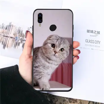 Luštna mačka Primeru Telefon Za Huawei Y5 Y6 II Y7 Y9 PRIME 2018 2019 NOVA3E P20 PRO P10 Čast 10
