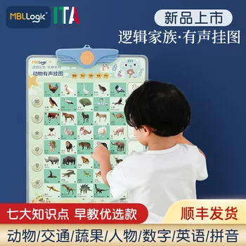 Otroški Avdio Grafikon Izobraževalne Logiko, Pinyin Grafikon Baby Zgodnjega Izobraževanja Nekatere Karte, Da se Glasi angleški Priljubljena 2021