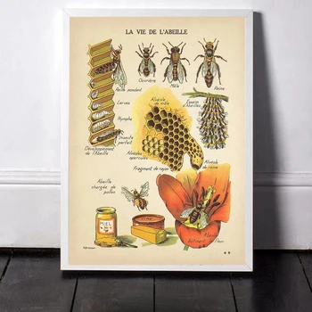 Starinsko Čebele Fotografij Naravne Plakat Žuželke Letnik Francoščina Honey Bee Wall Art Platno Slikarstvo Sepia Odtenkih Čebel Diagram Stenski Dekor
