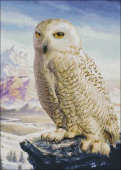 Vezenje Šteje Navzkrižno Šiv Kompleti Needlework - Obrti 14 ct DMC DIY Umetnosti Ročno izdelan Dekor Barn Owl