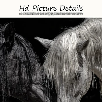 Črni in Beli Konj Platno Slikarstvo Afriki Par Konj Plakatov in Fotografij Stenskih slikah, za dnevno Sobo Cuadros Doma Dekor