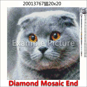 Diamond vezenje Žival mačka miško 5D Diamond slikarstvo Navzkrižno šiv pisane ptice rakun Celoten Kvadratni Diamond mozaik, lisica, zajec