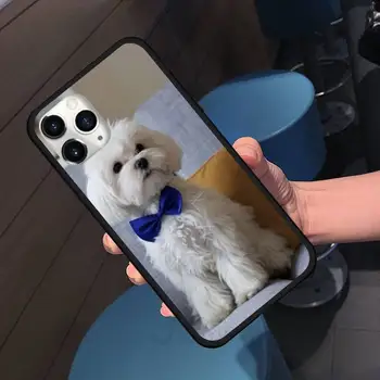 Malteški pes srčkan lep Telefon Primeru za iPhone 11 12 pro XS MAX 8 7 6 6S Plus X 5S SE 2020 XR Mehke silikonske