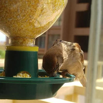 Samodejno Prostoživečih Ptic, Semen, Krme Gozd Visi Pokal Vrt Podajalnik Ptic Pet Hranjenje Posodo